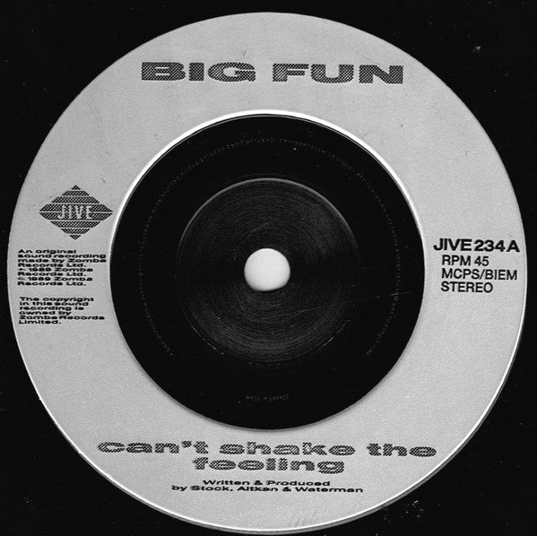 Big Fun : Can't Shake The Feeling (7", Single, Sil)