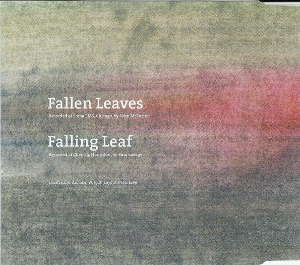 Teenage Fanclub : Fallen Leaves (CD, Single)