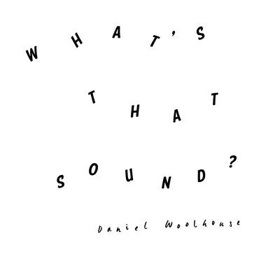 Daniel Woolhouse : What's That Sound? (LP, Album, 180)