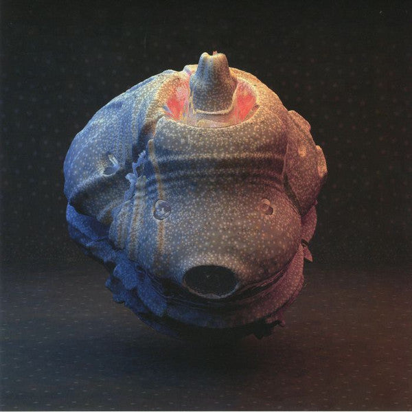 Joe Goddard : So Much (12")