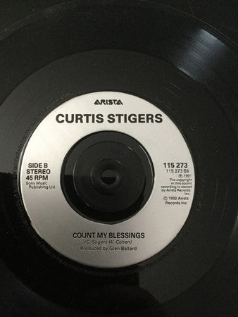 Curtis Stigers : You're All That Matters To Me (7", Single, Sil)