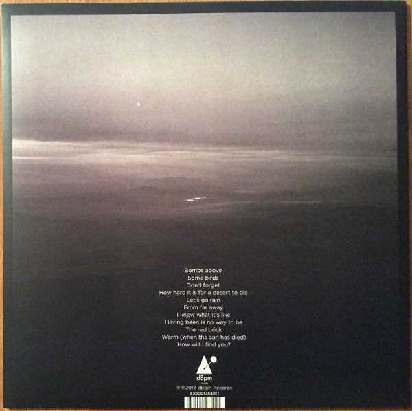 Jeff Tweedy - Warm (LP) (Mint (M)) - DaddyPop