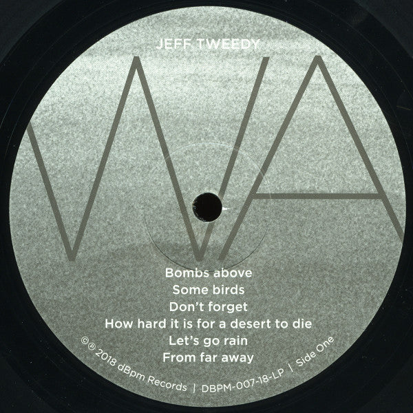 Jeff Tweedy - Warm (LP) (Mint (M)) - DaddyPop