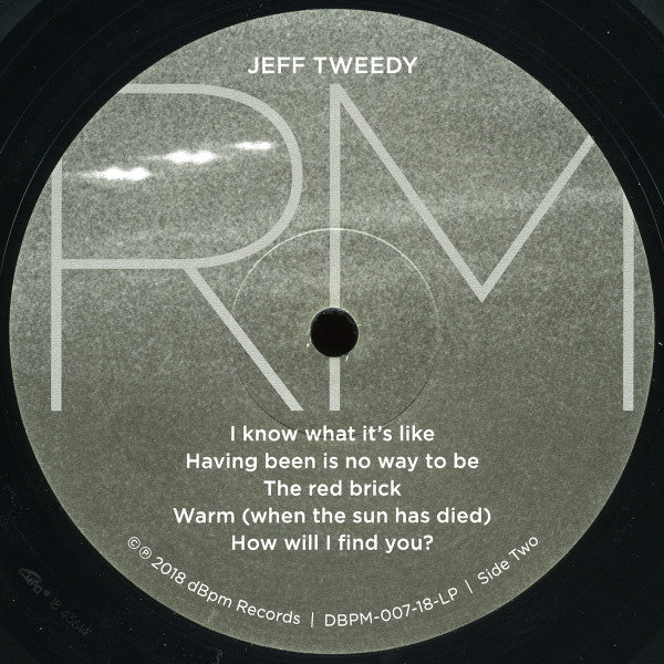 Jeff Tweedy - Warm (LP) (Mint (M)) - DaddyPop