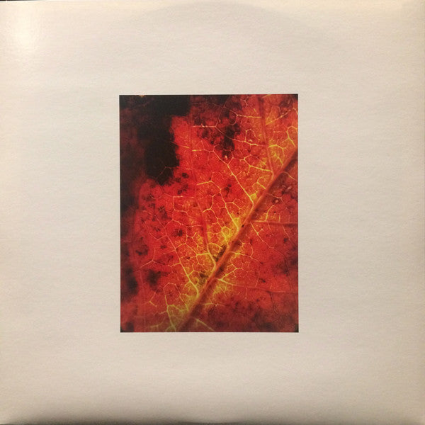 Common Eider, King Eider : A Wound Of Earth (LP, Album)