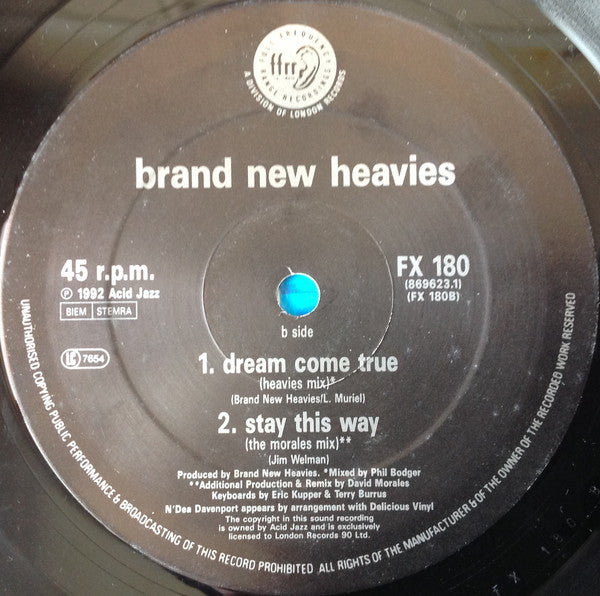 The Brand New Heavies Featuring Guest Vocalist N'Dea Davenport : Dream Come True (12")