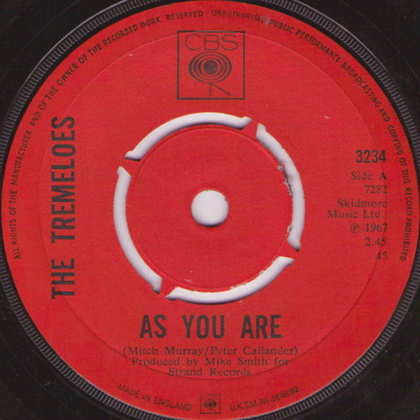 The Tremeloes : As You Are / Suddenly You Love Me (7", Single)