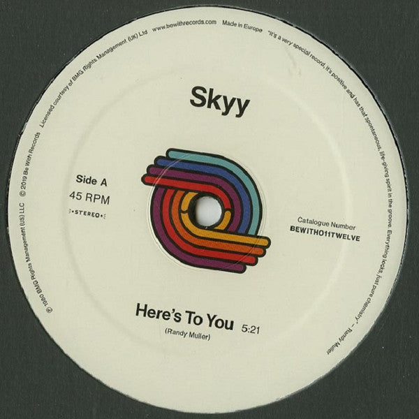 Skyy : Here's To You / You Got Me Up (12", RE, RM)