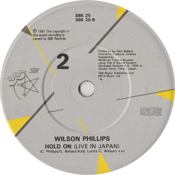 Wilson Phillips : You're In Love (7")