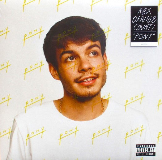 Rex Orange County : Pony (LP, Album)