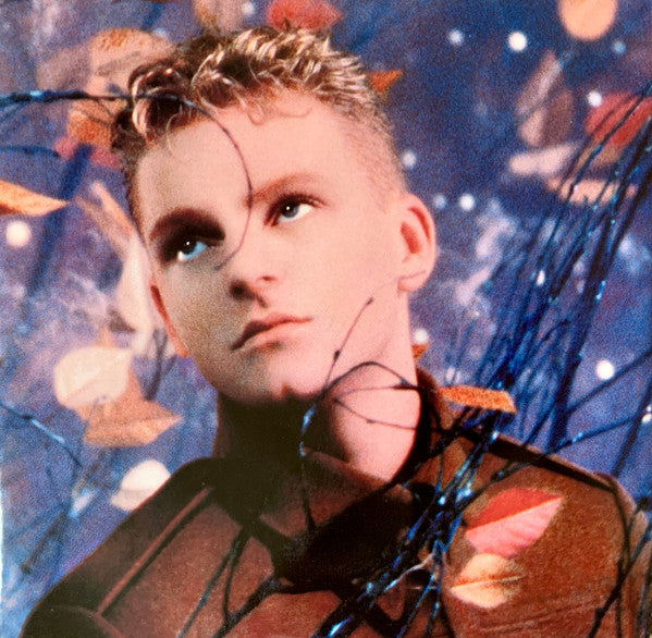 Erasure : Wild! (LP, Album, Dam)