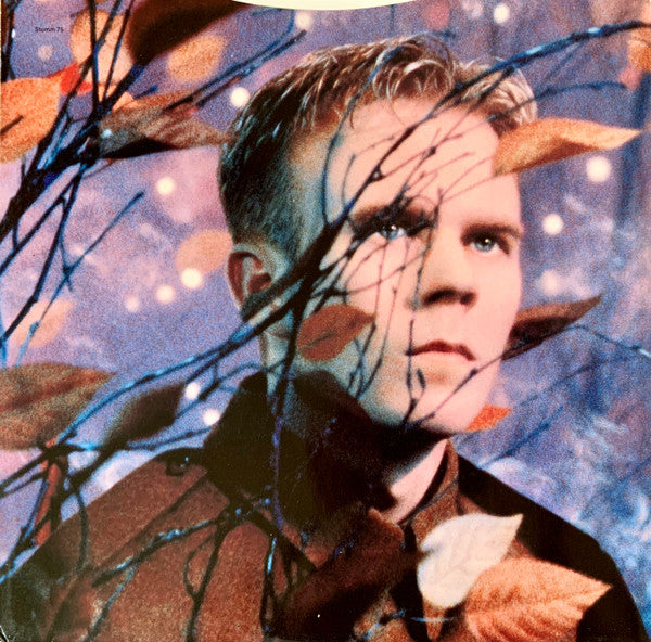 Erasure : Wild! (LP, Album, Dam)