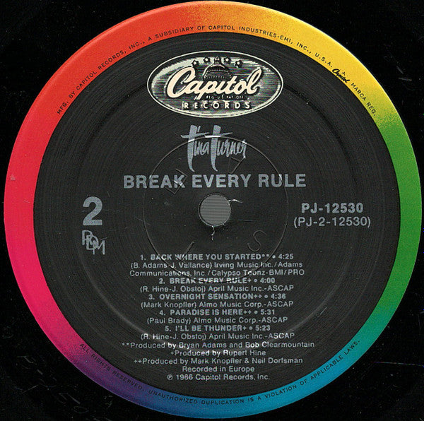Tina Turner - Break Every Rule (LP) (Very Good Plus (VG)) - DaddyPop