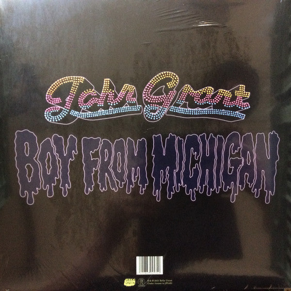 John Grant - Boy From Michigan (2xLP) (Mint (M)) - DaddyPop