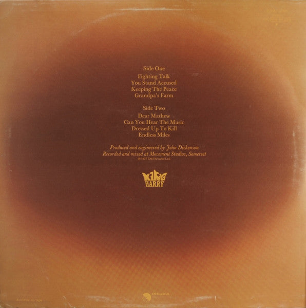 King Harry : Divided We Stand (LP, Album)