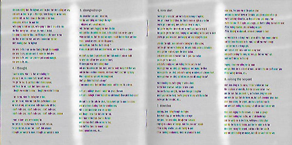 Richard Lloyd : The Cover Doesn't Matter (CD, Album)