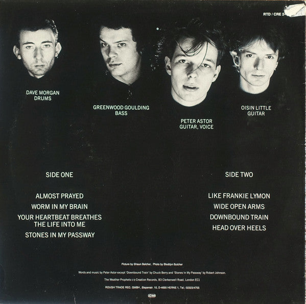 The Weather Prophets : Diesel River (LP, Comp)