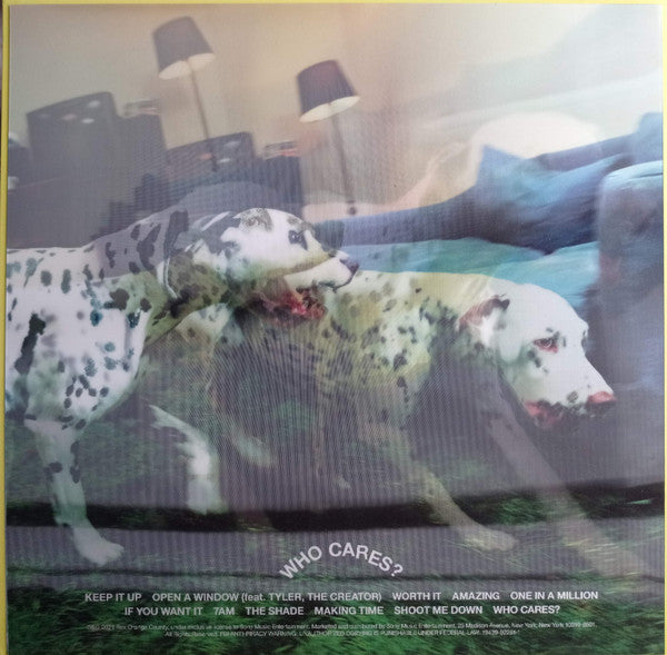 Rex Orange County : Who Cares? (LP, Album, Ltd, Len)