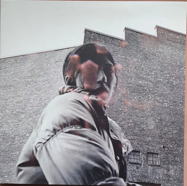 Aldous Harding : Warm Chris (LP, Album)