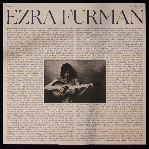 Ezra Furman : All Of Us Flames (LP, Vio)