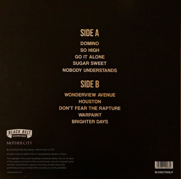 Psyence (2) : Lessons In Forgetting Everything (LP, Album)