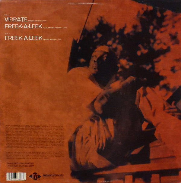 Petey Pablo & Rasheeda (2) : Vibrate (12")