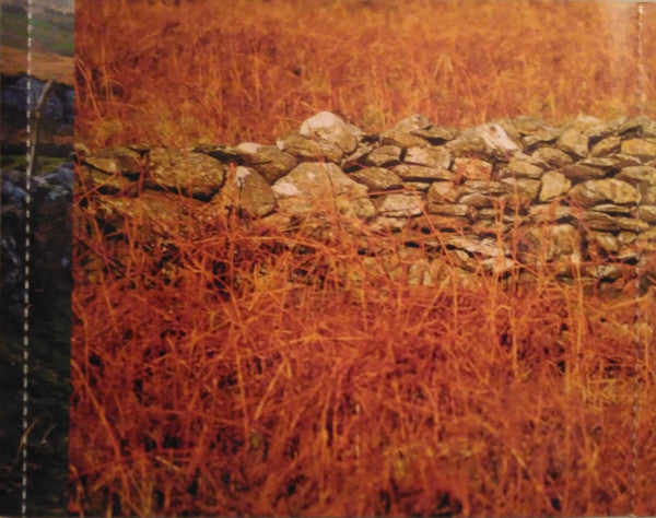 The Chieftains : The Wide World Over (A 40 Year Celebration) (CD, Comp)