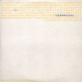 Ty : The Nonsense (12")