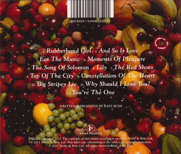 Kate Bush : The Red Shoes (CD, Album, RE, RM)