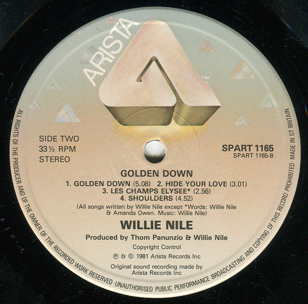 Willie Nile : Golden Down (LP, Album)