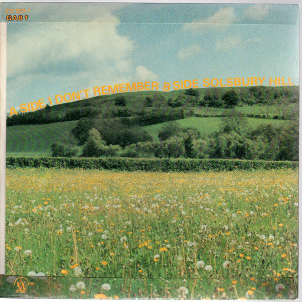 Peter Gabriel : I Don't Remember (7", Single)