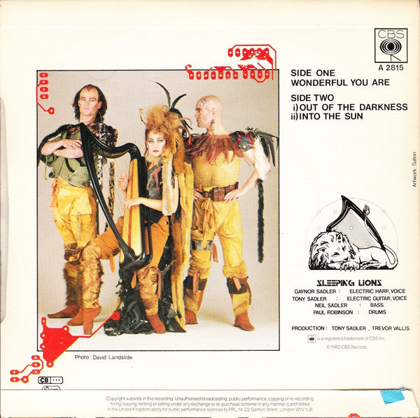 Sleeping Lions (2) : Wonderful You Are (7", Single)