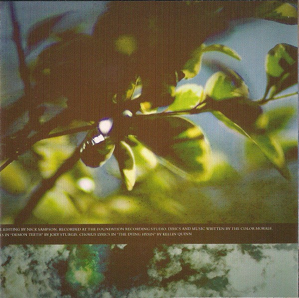 The Color Morale : My Devil In Your Eyes (CD, Album)