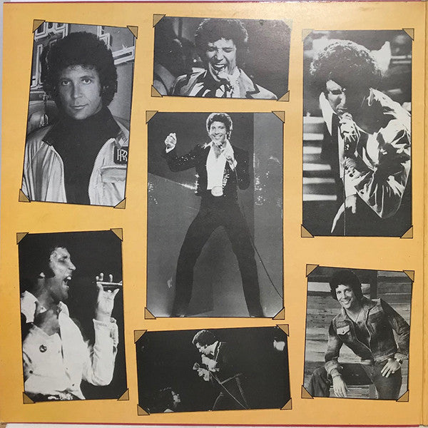 Tom Jones : The Tom Jones Album (2xLP, Comp, Gat)