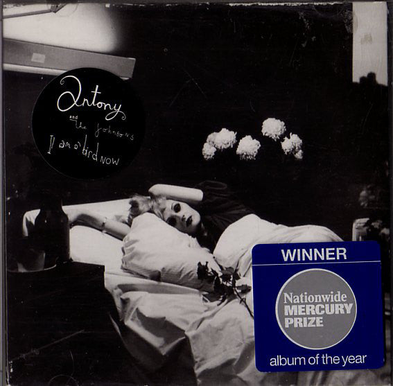 Antony And The Johnsons - I Am A Bird Now (CD) (Very Good Plus (VG)) - DaddyPop