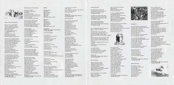 The Waterboys : This Is The Sea (CD, Album, RE)