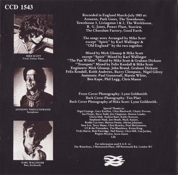 The Waterboys : This Is The Sea (CD, Album, RE)