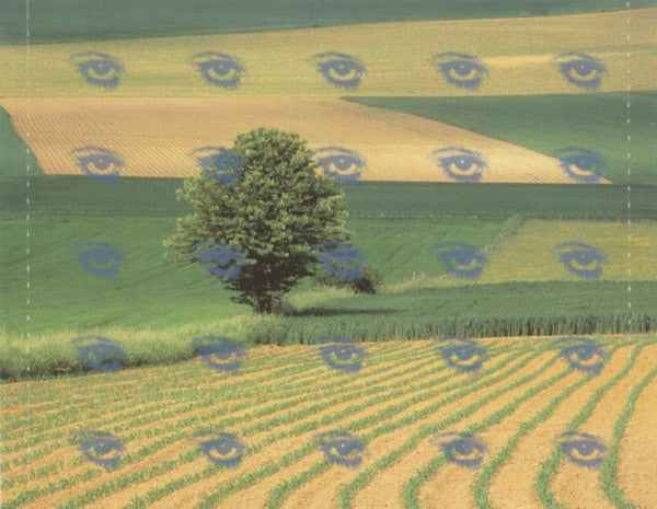 Chicane : Far From The Maddening Crowds (CD, Album, RE)