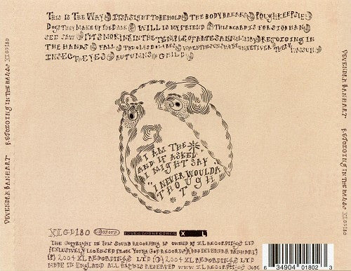 Devendra Banhart : Rejoicing In The Hands (CD, Album)