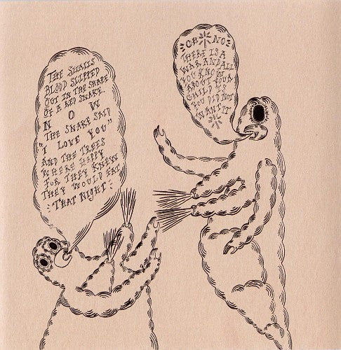 Devendra Banhart : Rejoicing In The Hands (CD, Album)