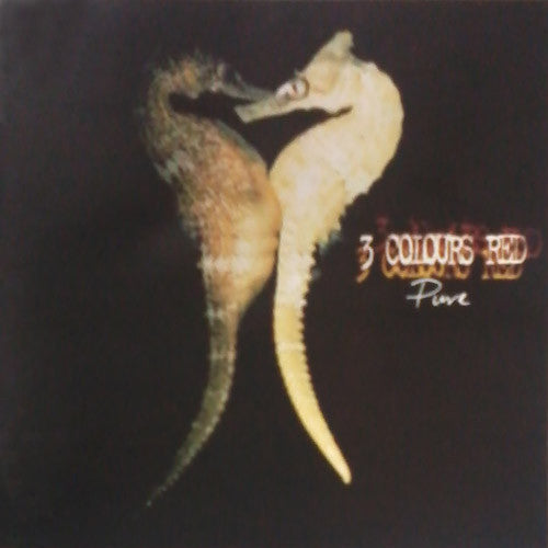 3 Colours Red - Pure (CD) (Very Good Plus (VG)) - DaddyPop