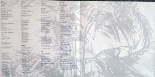 EMA (4) : The Future's Void (LP, Album, Vio)