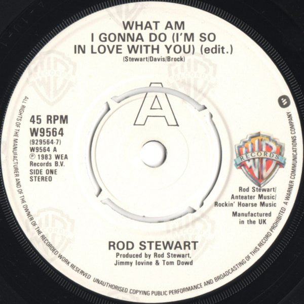 Rod Stewart : What Am I Gonna Do (I'm So In Love With You) (7", Single, Kno)
