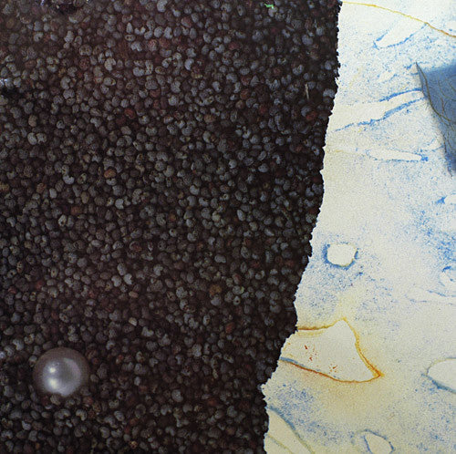 Harold Budd / Brian Eno With Daniel Lanois : The Pearl (CD, Album, RE)