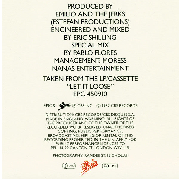 Miami Sound Machine : Rhythm Is Gonna Get You (7", Single)