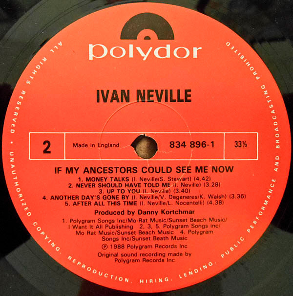 Ivan Neville : If My Ancestors Could See Me Now (LP, Album)