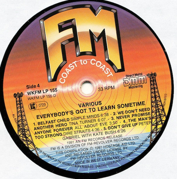 Various : Everybody's Got To Learn Sometime (2xLP, Comp, Gat)