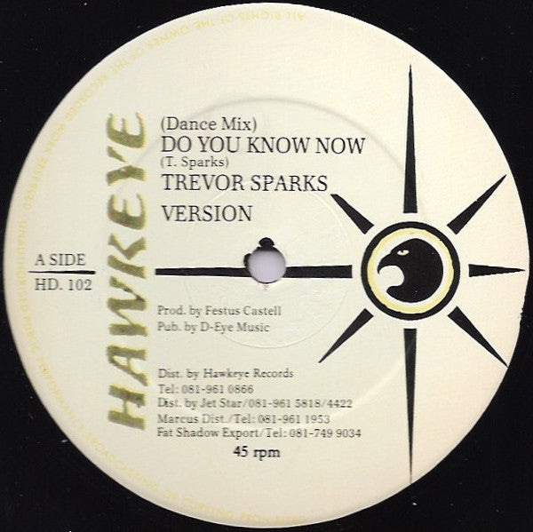 Trevor Sparks : Do You Know Now (12")