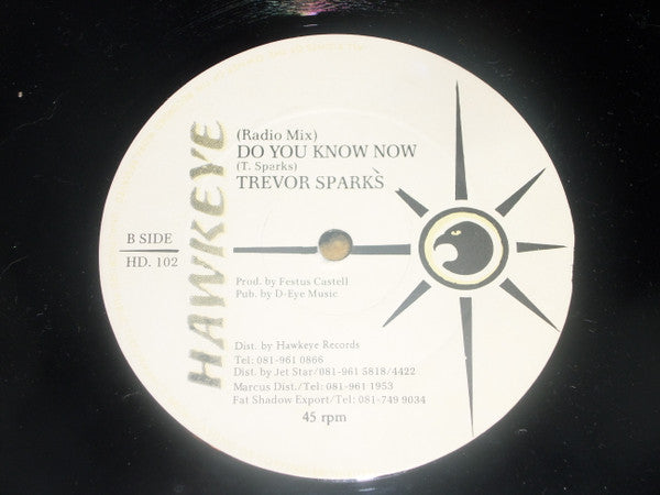 Trevor Sparks : Do You Know Now (12")