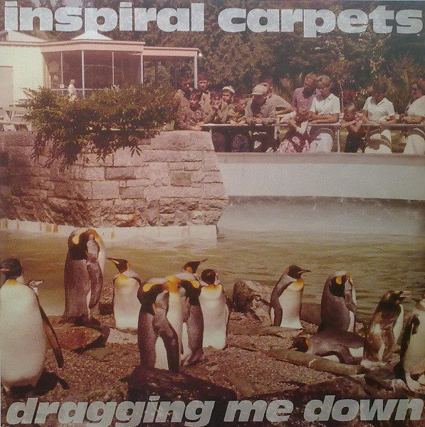 Inspiral Carpets : Dragging Me Down (12", Single)